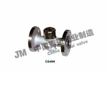 CS49H���(d��ng)��ʽ�A�PʽY(ji��)��������ˮ�y